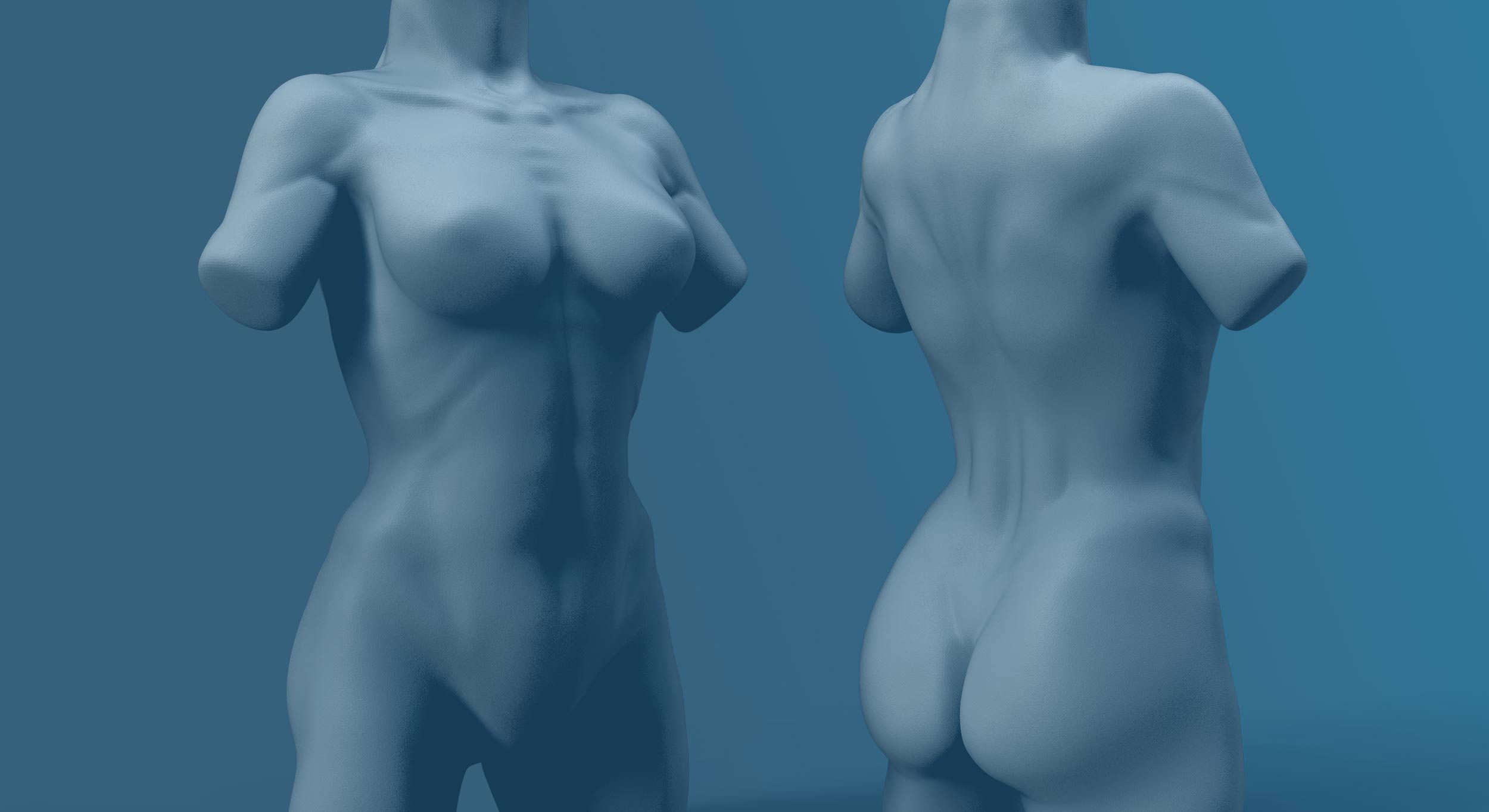 ZBRUSH ANATOMY COURSE