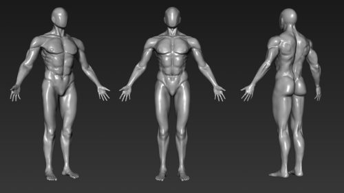 ZBrush Character and Anatomy Course – Beginners to advanced users